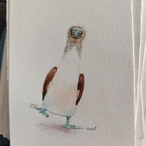 Watercolor painting Blue Bird